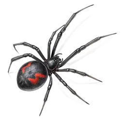 Imagen PNG para descargar